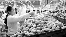 Nhờ kết nối hiệu quả, nhiều đặc sản của ĐBSCL đang được tiêu thụ rộng rãi trên hệ thống siêu thị Co.opmart
