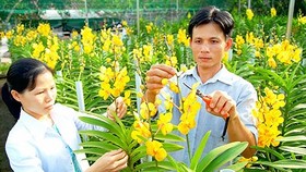 Phấn đấu 100% xã tại huyện Củ Chi đạt tiêu chuẩn nông thôn mới vào năm 2019