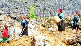 Chế tài nghiêm hành vi mua bán người
