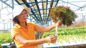 Nông nghiệp bền vững phải gắn với khoa học công nghệ