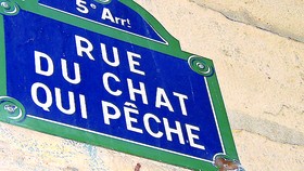 Lịch sử Paris qua biển đường, tên phố