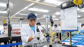 60 doanh nghiệp Belarus tìm cơ hội hợp tác đầu tư tại TPHCM