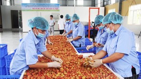 Rào cản sẽ tạo cơ hội