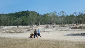 Luật đặc khu chưa ra, giá đất đã sốt