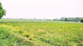 Minh bạch quy hoạch, không gian đô thị
