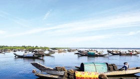 Nhẹ nhàng Chợ nổi trên phá Tam Giang