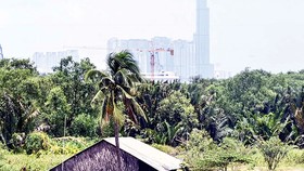 Điểm mặt những dự án "rùa": Khu dân cư 15 năm chưa hình thành