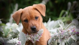 Một thói quen cần từ bỏ
