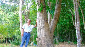 “Vùng đất chết” thành khu du lịch sinh thái