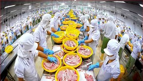 Mặt hàng thủy sản Việt Nam với nhiều thế mạnh, nhưng lâu nay chỉ nhắm đến Hoa Kỳ, Nhật Bản, Trung Quốc... mà chưa quan tâm thị trường ASEAN.