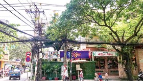 Trảm mạnh đất công sai mục đích