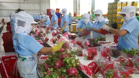 Bài học từ trái cây ngoại