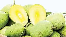 Thị trường Nhật Bản dễ vào nhưng khó trụ