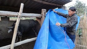 Năm nay sẽ có rét đậm rét hại sâu, có thể xác lập các mức kỷ lục