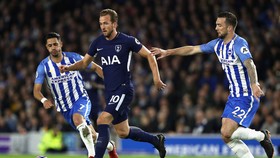 Brighton - Tottenham: Cơ hội cho Gà trống (Mới cập nhật)