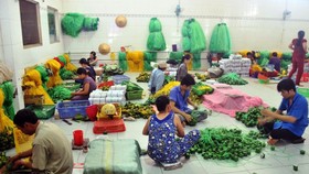 Nghị quyết Hội nghị TƯ 5 về phát triển kinh tế tư nhân
