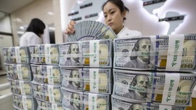 Kiểm tiền USD tại ngân hàng Hana ở thủ đô Seoul, Hàn Quốc. (Ảnh: EPA-EFE/TTXVN)