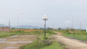 Thanh tra Chính phủ yêu cầu xử lý các sai phạm đất đai tại Cần Thơ