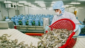 Dự báo tình hình xuất khẩu 6 tháng cuối năm sẽ đối mặt với nhiều khó khăn.