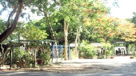 Trong quá trình làm việc với người dân ở khu K, chúng tôi đã tiếp xúc với ông Trần Thanh Tâm - người bị lãnh đạo Bảo tàng Côn Đảo sa thải vì dám đứng ra kiện đòi quyền lợi cho bản thân và người dân khu K.