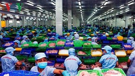 DOC kết luận sơ bộ rà soát thuế chống bán phá giá cá tra-basa Việt Nam
