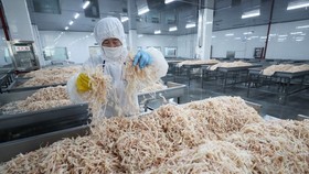 Chế biến hải sản xuất khẩu tại nhà máy ở Liên Vân Cảng, tỉnh Giang Tô, Trung Quốc ngày 5/7. (Nguồn: AFP/TTXVN)