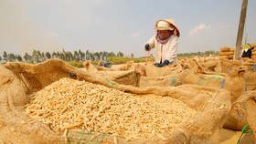Việt Nam ký hợp đồng xuất khẩu gạo giá trị lớn với Philippines