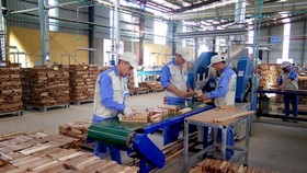 Tạm ngừng kinh doanh tạm nhập, tái xuất gỗ từ Lào, Campuchia