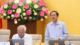 Phó Chủ tịch Quốc hội Đỗ Bá Tỵ điều hành phiên họp
