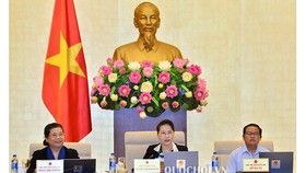 Chủ tịch Quốc hội Nguyễn Thị Kim Ngân: Phải đấu thầu công khai giao đất