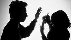 Cơ quan giám sát cho rằng số liệu thống kê về bạo lực gia đình cũng như phòng chống bạo lực gia đình chưa đáng tin cậy