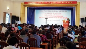 Nâng cao trình độ về lý luận văn học, nghệ thuật