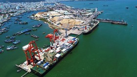 Cận cảnh tấn hàng thứ 8 triệu thông cảng Quy Nhơn