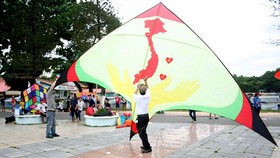 Rực rỡ những cánh diều hè
