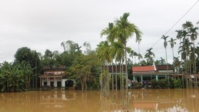 Ngày 10-12 học sinh toàn tỉnh Quảng Nam được nghỉ học