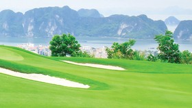 Chủ tịch FLC Trịnh Văn Quyết: Mỗi tỉnh sẽ có ít nhất 1 sân golf trở lên