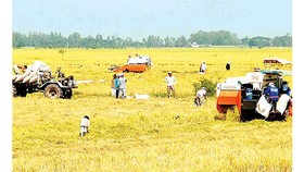 Tổng kết thành tựu 10 năm về nông nghiệp, nông dân, nông thôn