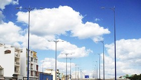 Ngưng đấu thầu dịch vụ công ích thuộc lĩnh vực chiếu sáng công cộng, cây xanh