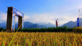 Cảnh kết thúc tuyệt vời khi tham gia VMM. Ảnh VMM