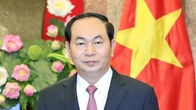 President Tran Dai Quang (Source: VNA)