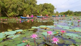 Tourists visit Long An province. (Photo: Sggp)