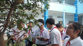 Chương trình “tiết học ngoài nhà trường” phải được thông qua trước 30 ngày thực hiện