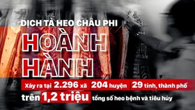 Dịch diễn biến phức tạp, tổng đàn heo ở TPHCM đang bị đe dọa