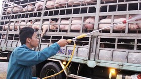 Đồng Nai: Thêm hai xã ở huyện Cẩm Mỹ có heo mắc dịch tả châu Phi