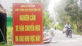 Đồng Nai tiêu huỷ hơn 90.000 con heo mắc dịch tả heo Châu Phi