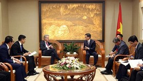 Deputy Prime Minister Vu Duc Dam received Mr. Ralph Haupter, President of Microsoft Asia. Photo by VOV