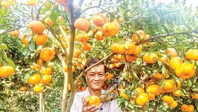 Vietnamese agriculture in Industry 4.0 era