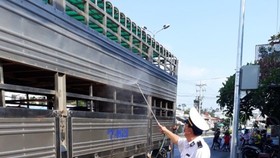Mekong delta provinces make concerted efforts to combat African Swine Fever