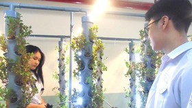 Tenth-graded students in Le Quy Don High School are taking care of plants using aeroponics technology in the project ‘Air Quality Improvement for Basement Parking Lot’
