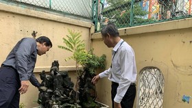 Dengue prevention campaign launched in HCMC